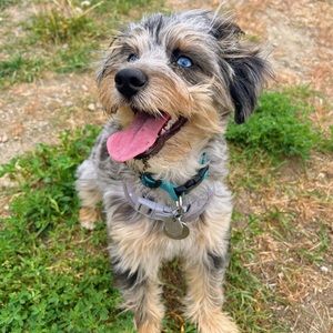 Meet your Posher, Taylor